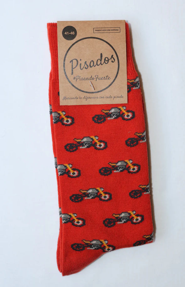 Pack - Rider y Pura sangre
